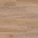 tarn dryback chestnut